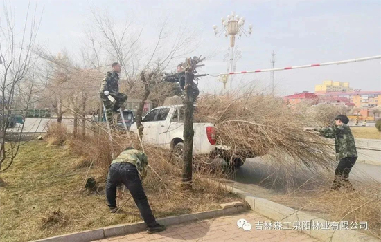 1701755699402983.jpg 0403工作動態(tài)3.jpg