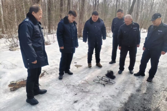 1741833767370867.jpg 大川林場開展“清山清套”專項(xiàng)行動(dòng)守護(hù)野生動(dòng)物家園(3).jpg