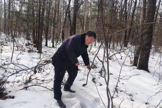 1741833819747533.jpg 大川林場開展“清山清套”專項(xiàng)行動(dòng)守護(hù)野生動(dòng)物家園(2).jpg