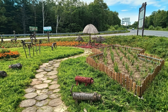 1750383954650891.jpg 森林資源管護(hù)大隊(duì)打造“生態(tài)驛站”繪就綠色發(fā)展新圖景(3).jpg
