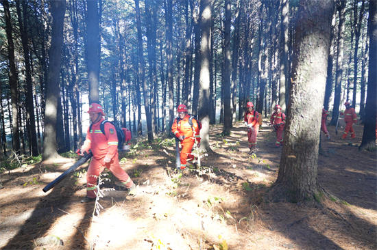 1761809374620295.jpg 興參林場開展實戰(zhàn)化森林滅火演練(4).jpg